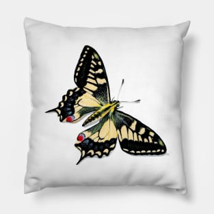 Swallowtail Butterfly Pillow