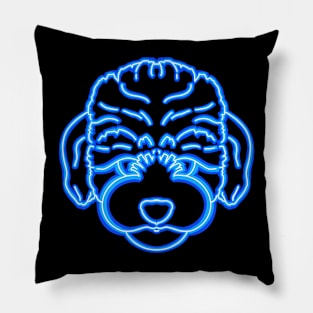 Neon Multipolar Pillow