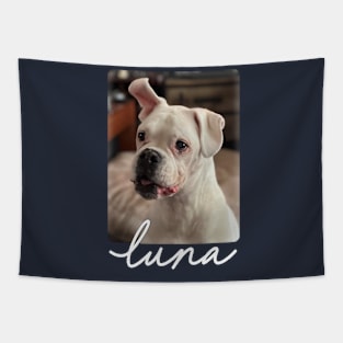 Luna was a good dog - photo Tapestry