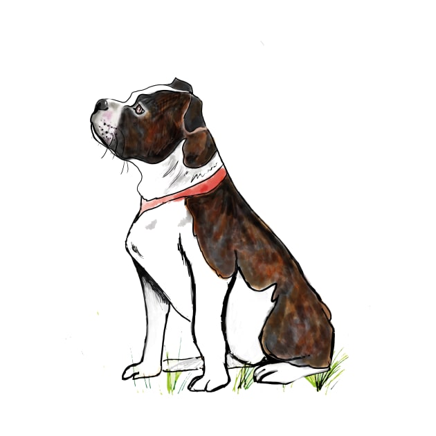 Brindle Staffordshire Bull Terrier by drknice