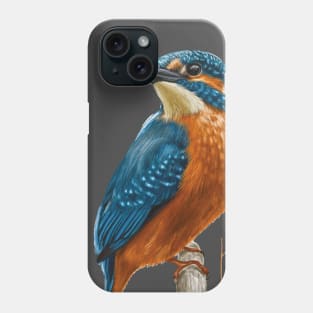 Kingfisher bird - Wildlife observation - birs illustration Phone Case