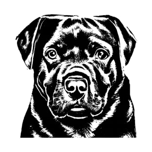 Rottweiler Ink Drawing T-Shirt