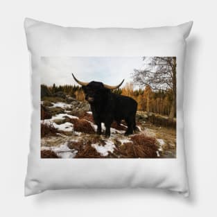 Scottish Highland Cattle Black Bull 2254 Pillow