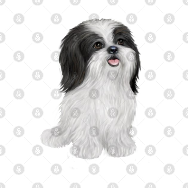 An Adorable Black and White Shih Tzu - Just the Dog by Dogs Galore and More