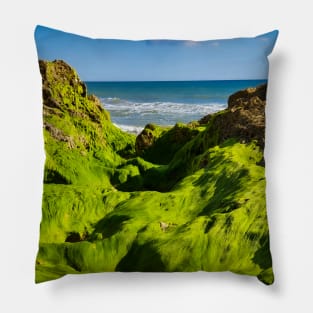 seaweed covered rocks Pillow