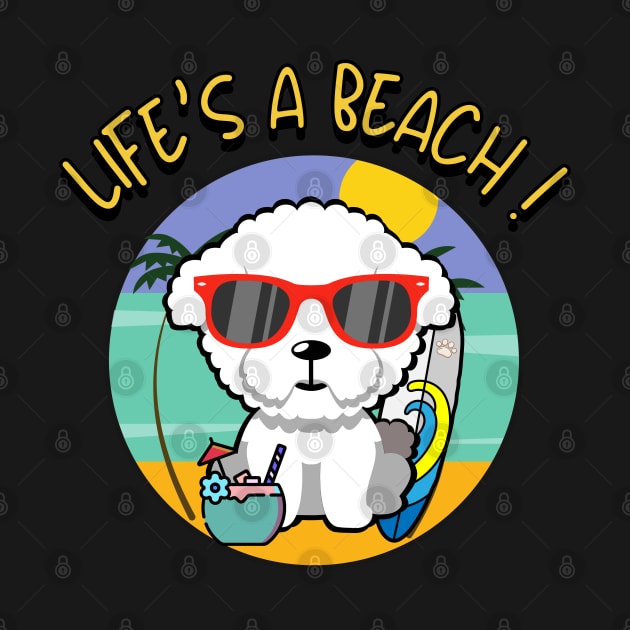 Cute furry dog Goes to the beach by Pet Station