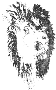 africa lion, lion black shirt Magnet