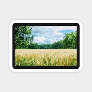 Gold wheat field Magnet