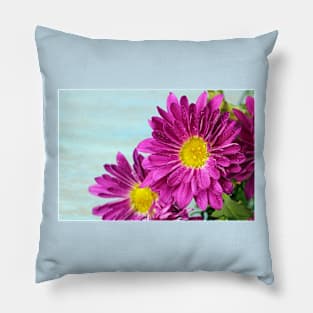 Pink Chrysanthemums Pillow