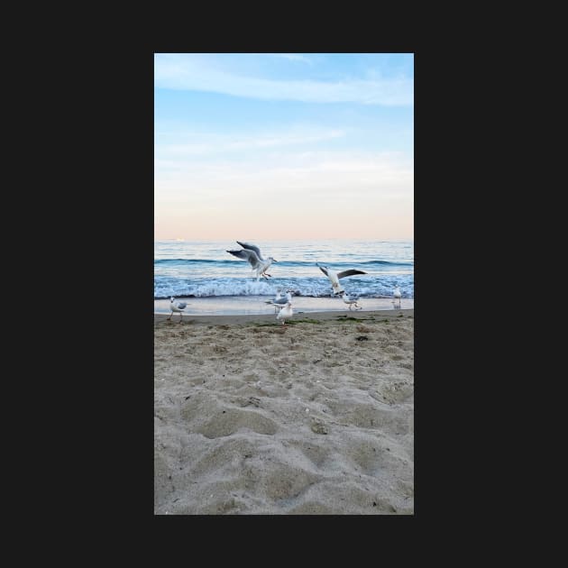 Seagulls sit on the beach by taya-stdnk