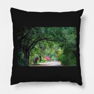 Tropical Zone Pathway Pillow