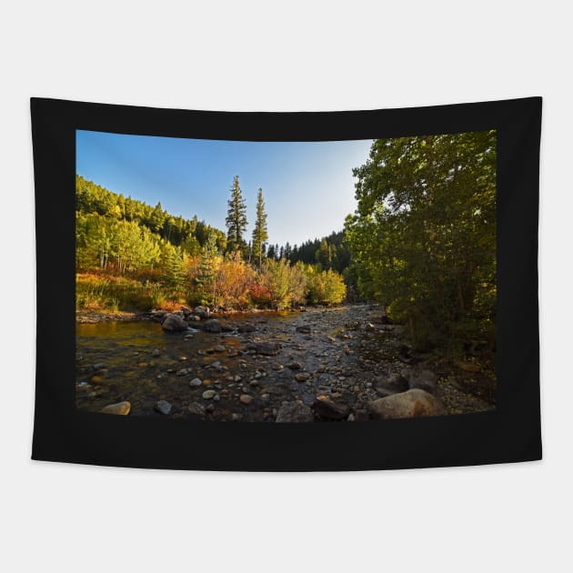 Boulder Colorado Canyon Creek Fall Foliage Tapestry by WayneOxfordPh