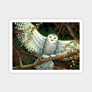 Winter Owl Magnet