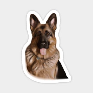 Cute German Shepherd Drawing Magnet