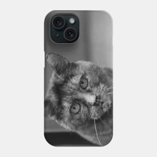 Black and White Tortoiseshell Cat Photograph Phone Case