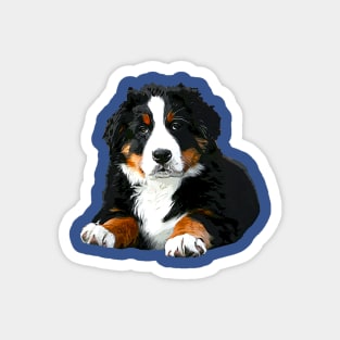 Bernese Mountain Dog Pup! Magnet