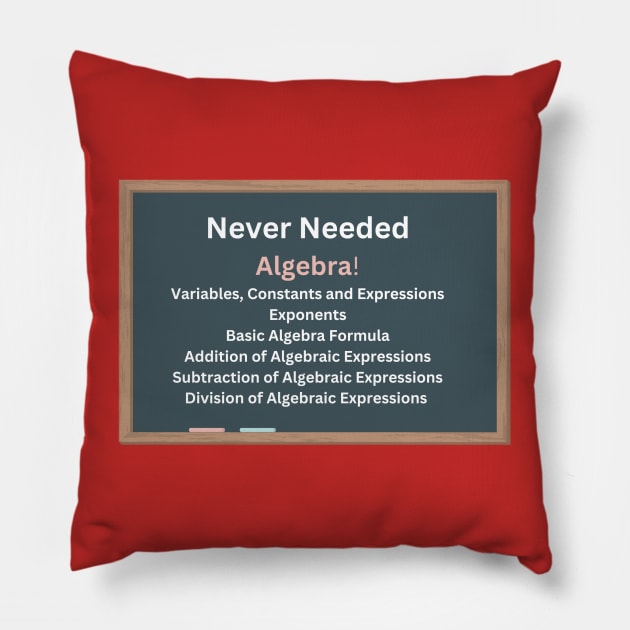 Never Needed Algebra Pillow by Say What You Mean Gifts