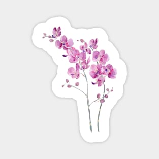 pinkish purple orchid flowers watercolor and ink Magnet