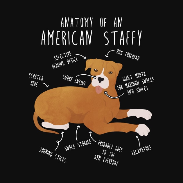 American Staffordshire Terrier Amstaff Anatomy by Psitta