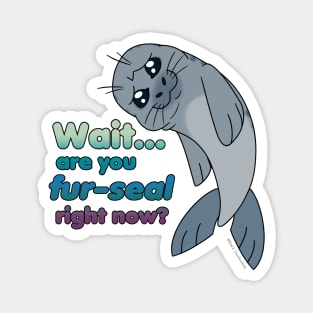 Sad Seal - Are You Fur-Seal? (Iceberg) Magnet