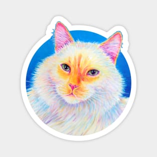 Flame Point Siamese Cat Magnet