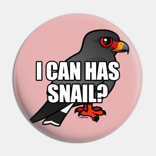 Funny Cartoon Snail Kite Spoof Design Pin