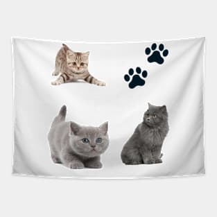 Awesome kitten cat love - cat lover pack Tapestry