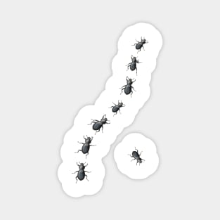 Creepy Crawly Black Beetles Magnet