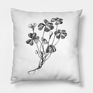 Forest Clover Black and White Vintage Botanical Illustration Pillow