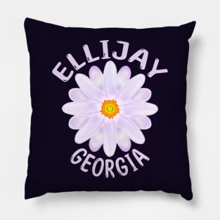 Ellijay Georgia Pillow