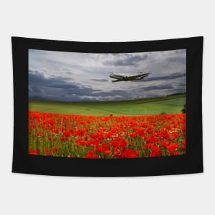 RAF Nimrod Poppy Pass Tapestry