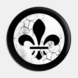 St Louis Flag Fleur de Lis Pin