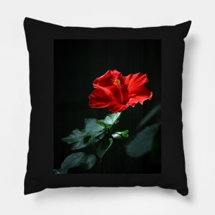 Hibiscus Pillow