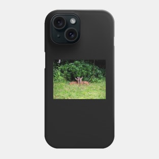 Twin Fawns Phone Case