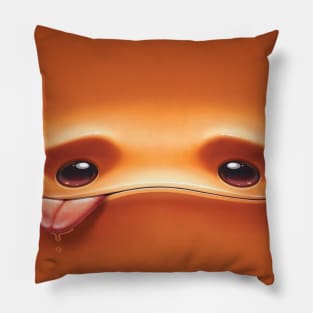 Orange Raspberry Pillow