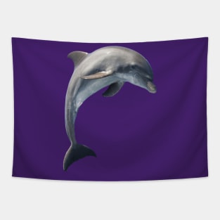 delfin Tapestry