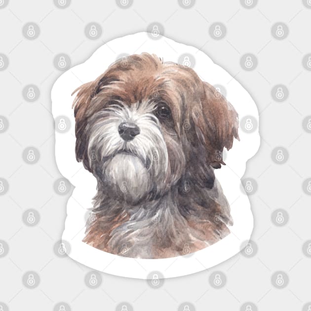 Tibetan Terrier Watercolor Art Magnet by doglovershirts