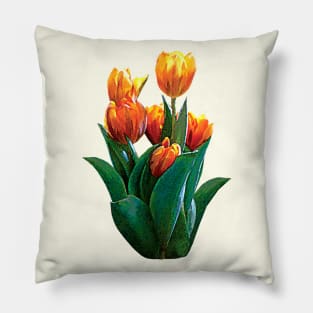 Group Orange Tulips Pillow