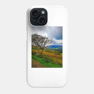 The Ladies View, Ring of Kerry Phone Case