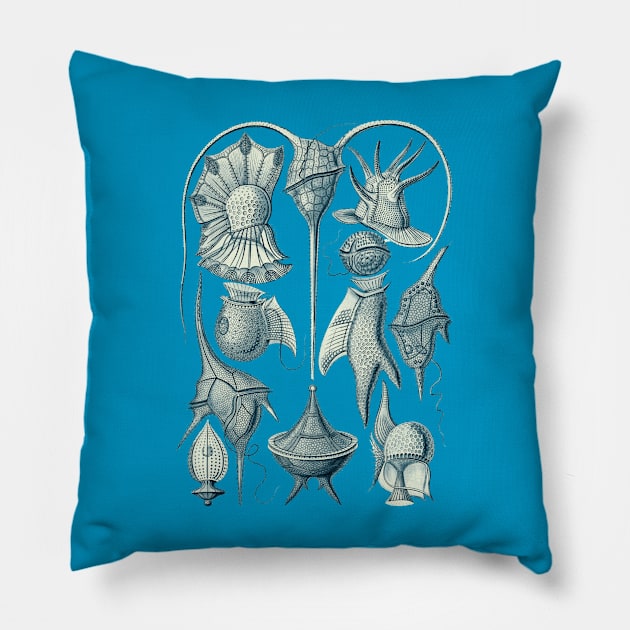 Ernst Haeckel Peridinea Plankton Pillow by Scientistudio