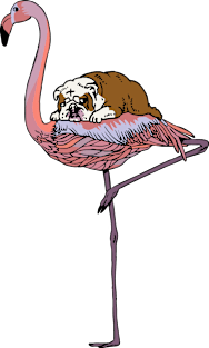 Flamingo and English Bulldog Magnet