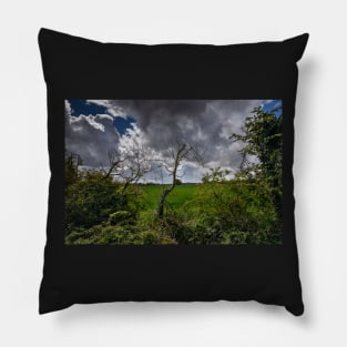 Spring 2021 Pillow