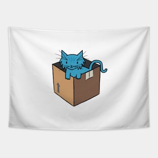 Binky's Box Tapestry