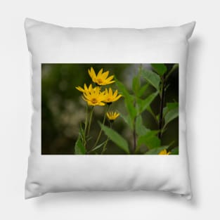 alb jerusalem artichokes Pillow