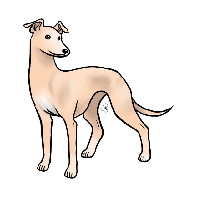 Dog - Whippet - Fawn by Jen's Dogs Custom Gifts and Designs