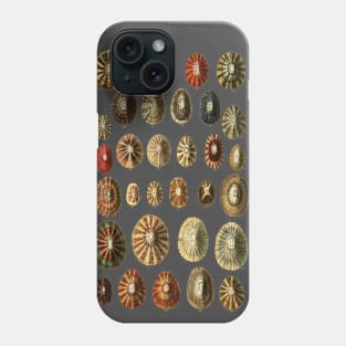 Limpet Shells Vintage Antique Scientific Natural History Illustration Phone Case