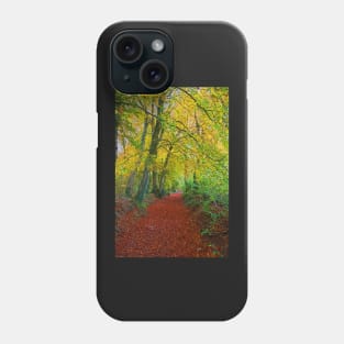 Autumnal Westridge Woods, Cotswolds Phone Case