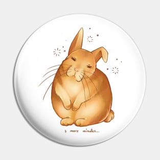 Sleepy Bunny needs 5 more minutes Pin