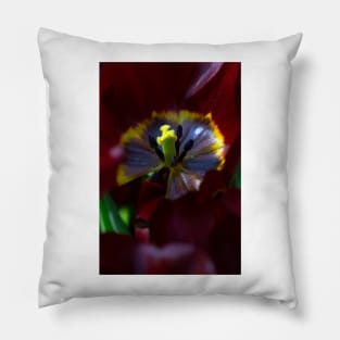 tulip in bloom Pillow