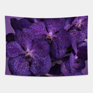 Branch of purple orchids close-up Tapestry